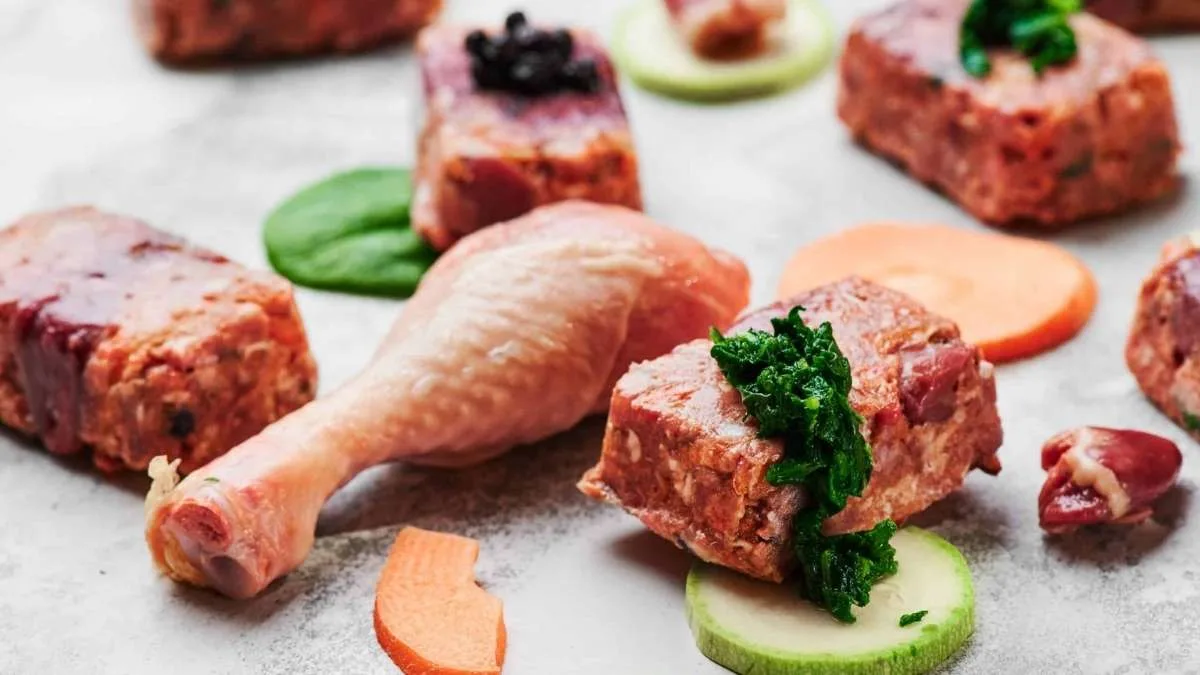 pienso-o-dieta-barf-perro