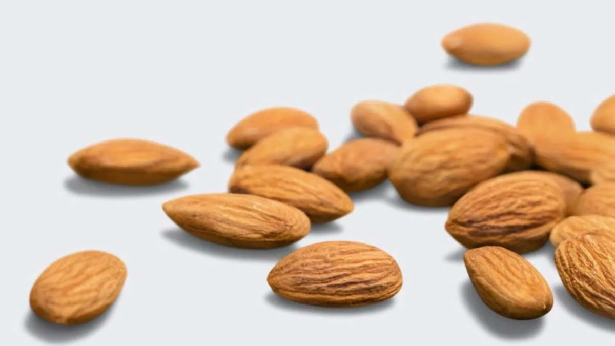 los-gatos-pueden-comer-almendras