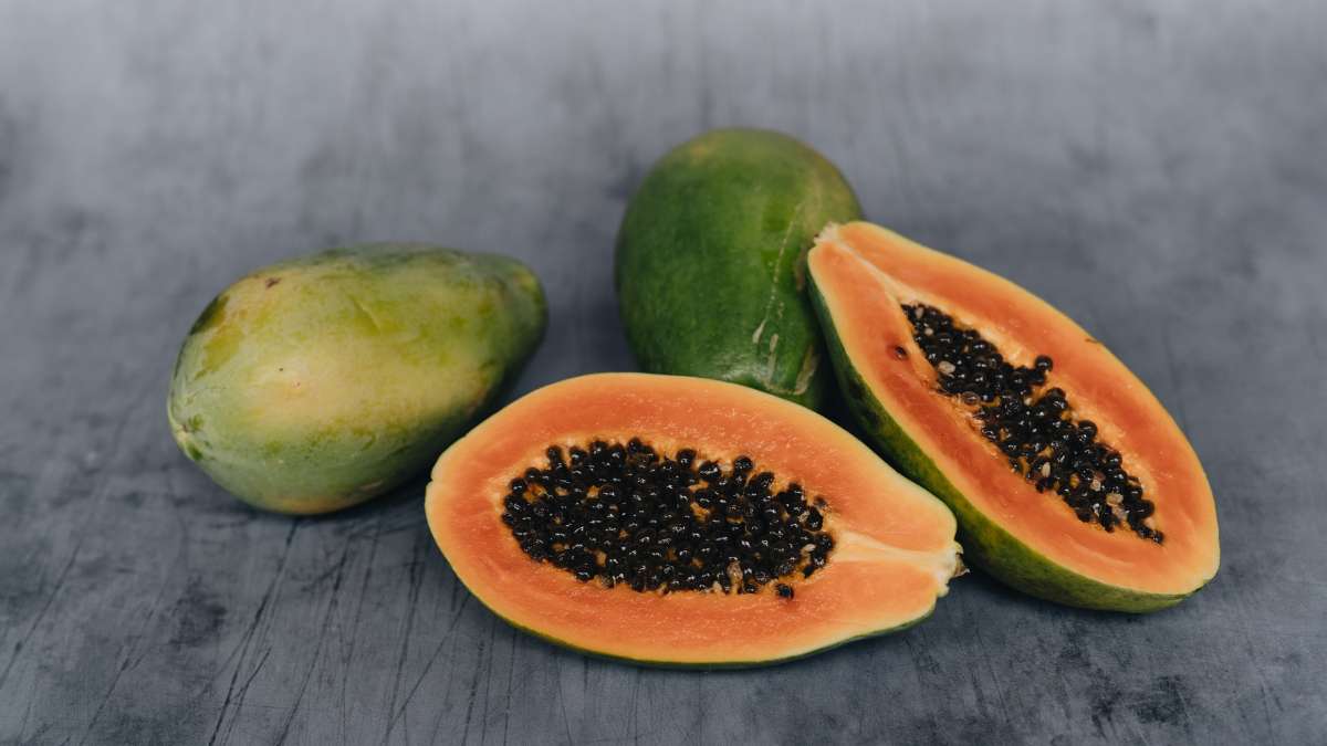 ¿Los gatos pueden comer papaya?