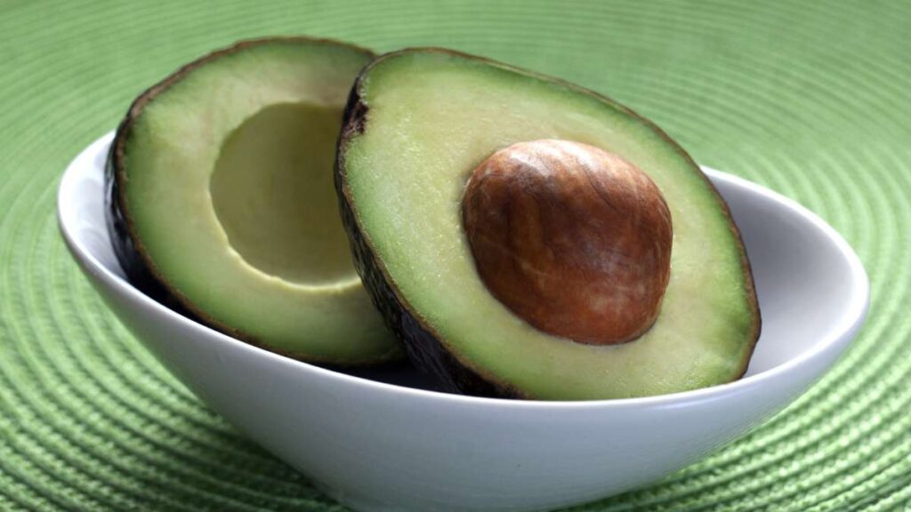 ¿Los gatos pueden comer aguacates?